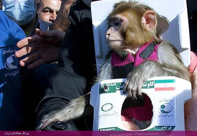 فرگام دومین میمون فضانورد ایرانی