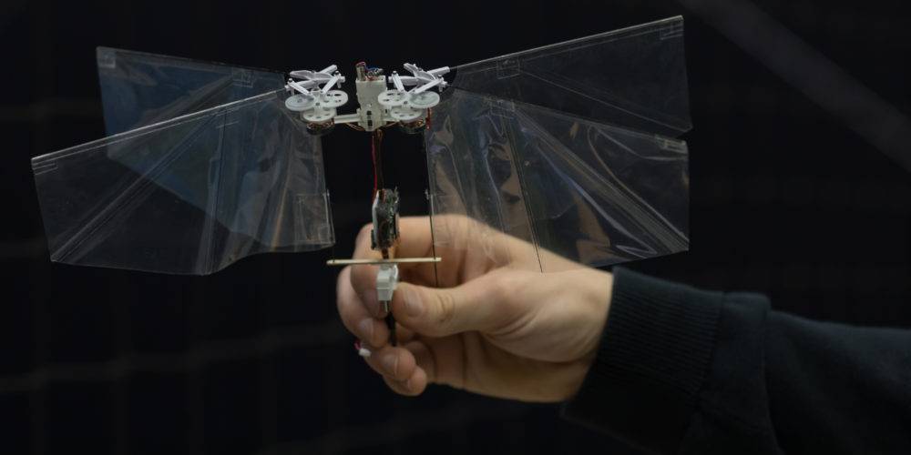 ساخت روبات پرنده خودمختار با الهام از مگس میوه در دانشگاه دلفت هلند