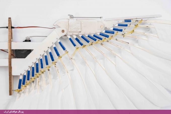 پهپاد "PigeonBot" چهل و دو درجه آزادی عمل دارد که موقعیت ۴۰ پر با اتصال الاستیک را کنترل می‌کند. این کار از طریق چهار اتصال مفصلی در بالها انجام می‌شود و در هر بال ۲۰ پر وجود دارد.