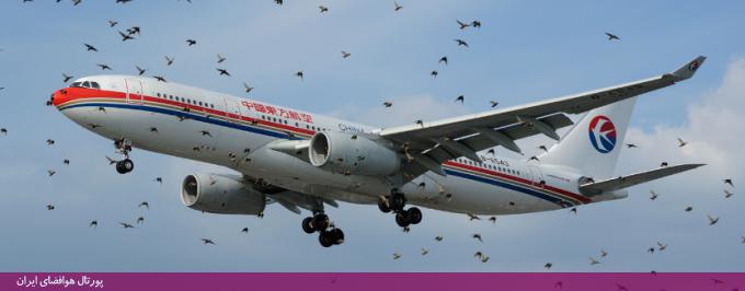 دلایل برخورد پرنده‌ها با بال چپ هواپیما چیست؟