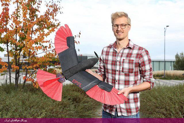 پژوهشگران سوئیسی توانسته‌اند با الهام از شاهین، پهپادی ابداع کنند که می‌تواند با مصرف انرژی کمتر پرواز کند.