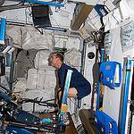 Astronaut Rick Mastracchio Exercises on ARED