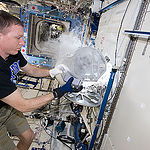 ISS043E207615 (05/18/2015) --- Expedition 43 Commander Terry Virts on the International Space Station works with experiment samples stored inside one of the station